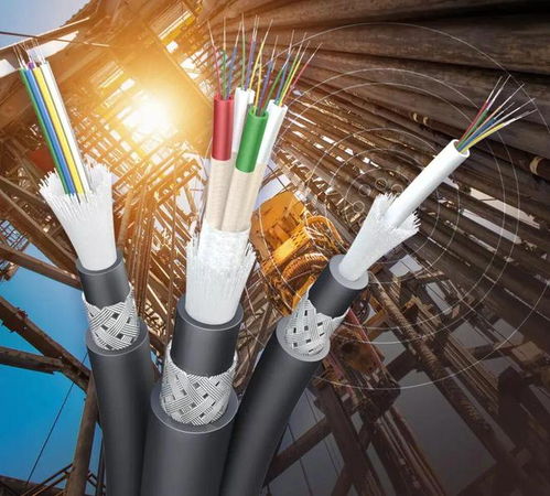 陽爾船用網(wǎng)線與光纜成功獲得LR型式認(rèn)可證書，助力船舶通信技術(shù)升級